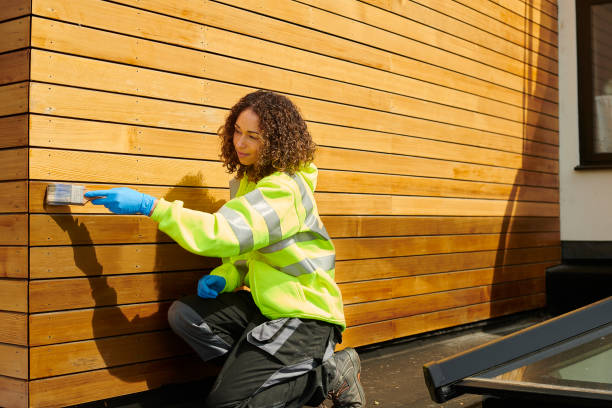 Best James Hardie Siding  in Holden Heights, FL